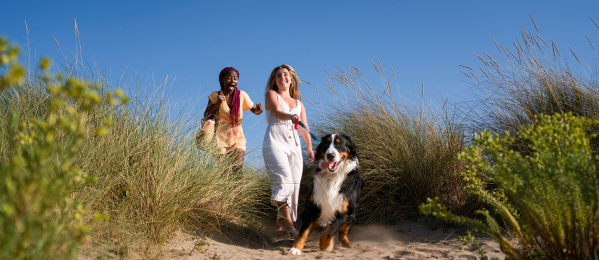 Flying with Pets: Airline Fees & Policies