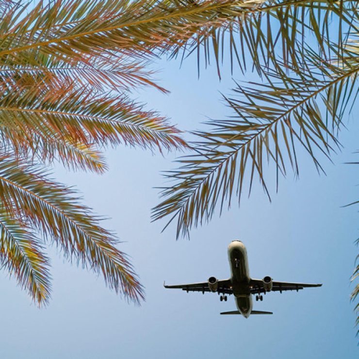 Book Flights Now or Wait