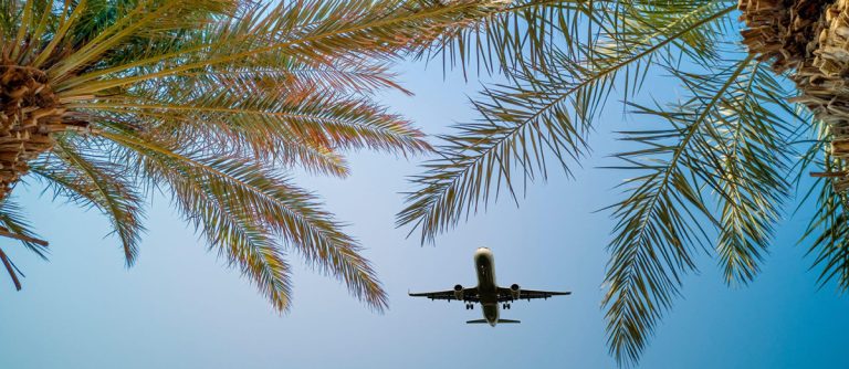 Book Flights Now or Wait